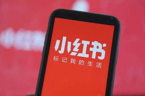 商業(yè)動態(tài)觀察 融資潮與業(yè)務拓展并行