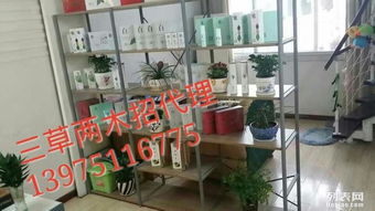 三草兩木產(chǎn)品口碑與代理模式解析 票務代理需謹慎